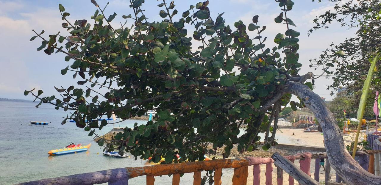 Mactan Newtown Condo With Garden And Ocean View 8Newtown Blvd Île de Mactan Extérieur photo
